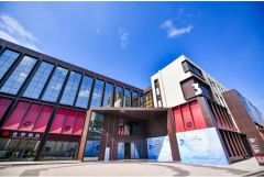 <strong>累计生成230余万件</strong>