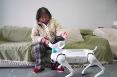 <strong>憨态可掬的容貌引</strong>