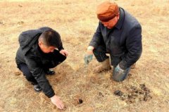 通过此次上海警方